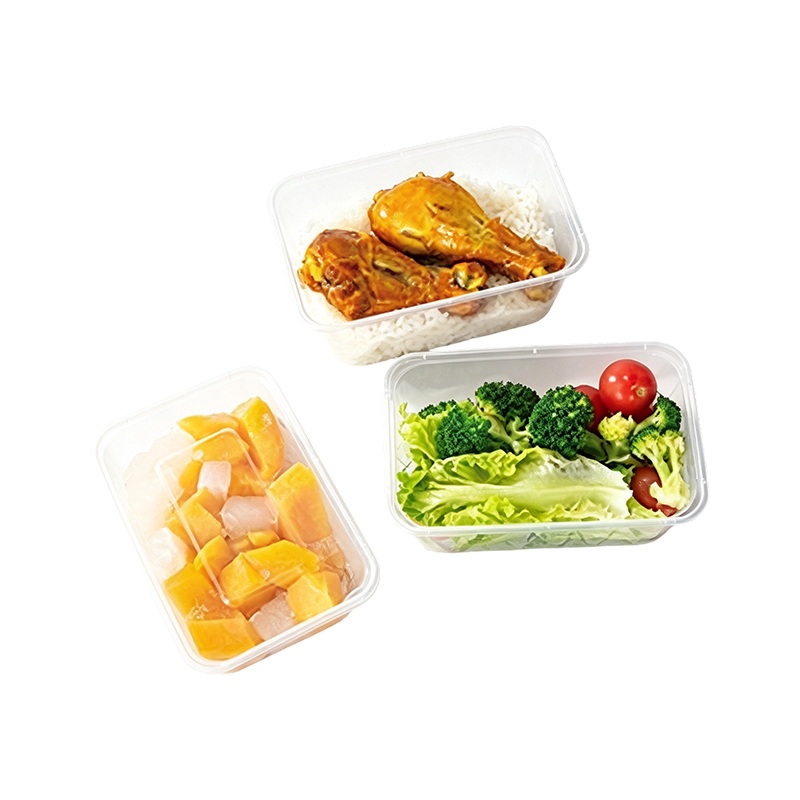 1000ml矩形食品容器模具