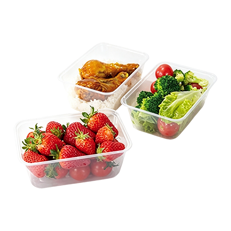 1000ml矩形食品容器模具